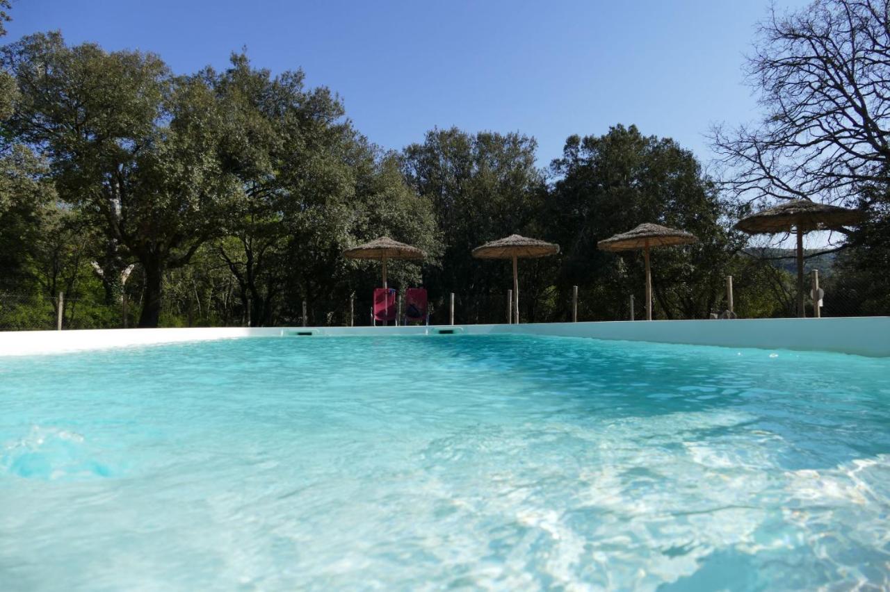 Mas De Coulet Bed and Breakfast Brissac Buitenkant foto